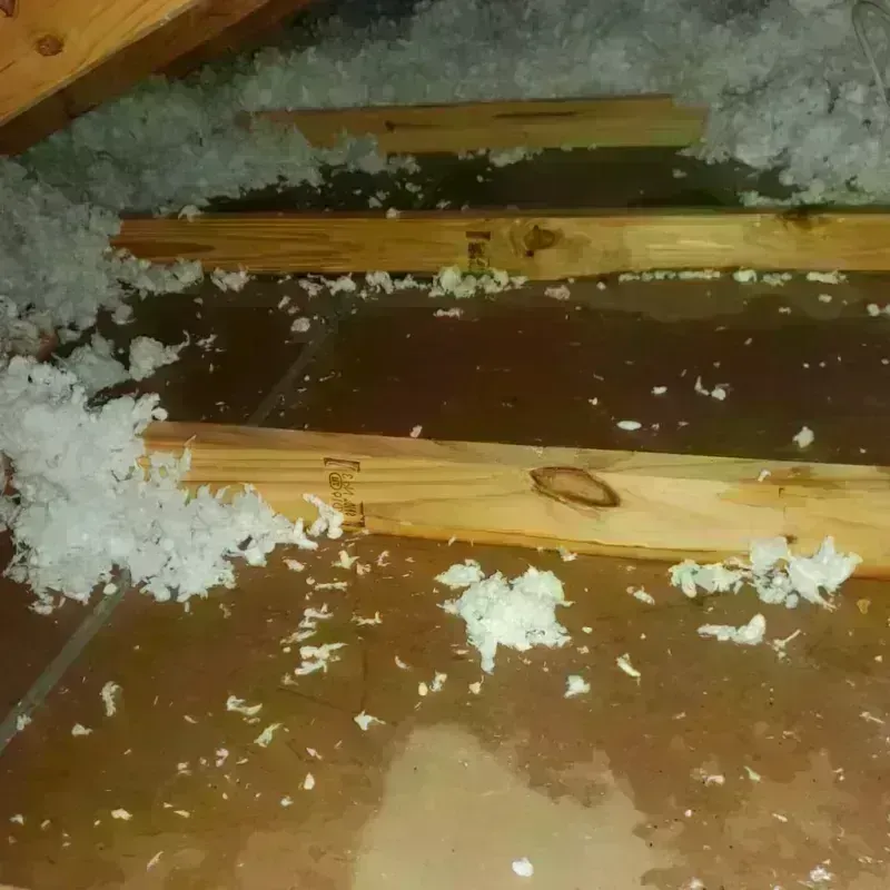 Attic Water Damage in Weston County, WY