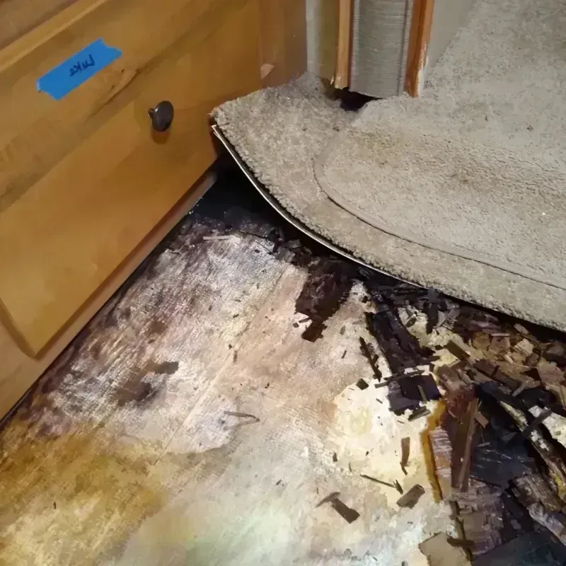 Wood Floor Water Damage in Weston County, WY